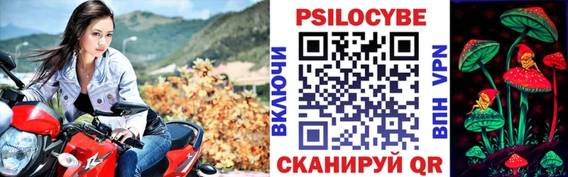 Псилоцибиновые грибы Psilocybe  магазин продажи наркотиков  Грязи 