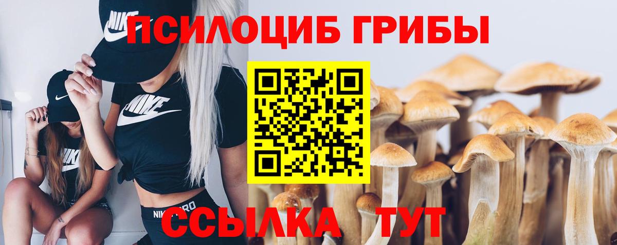 Галлюциногенные грибы Magic Shrooms  Псилоцибиновые грибы Psilocybe  Вход с VPN  Грязи 